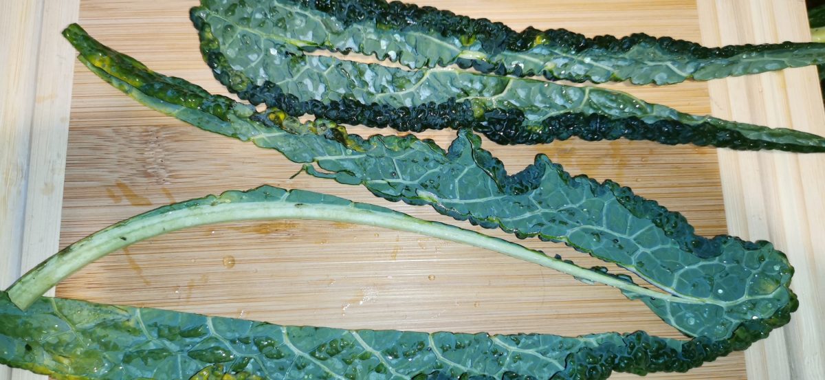 foto 2 pesto brocoli negro