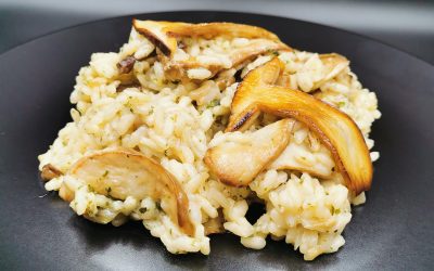 Risotto de Hongos Porcinos